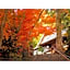 River Side Arashiyama - Vacation STAY 86277v