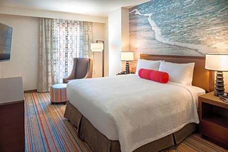 Accessible, 1 Bedroom Suite, 1 King, Waterpark view
