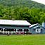 Misty Mountain Ranch B&B