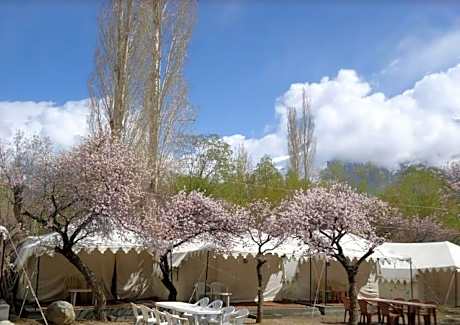Royal Deluxe Camp & Resort, Hunder- Nubra