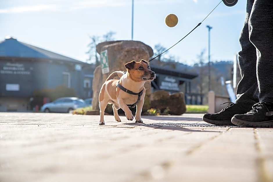 Hotel Residence Montelago