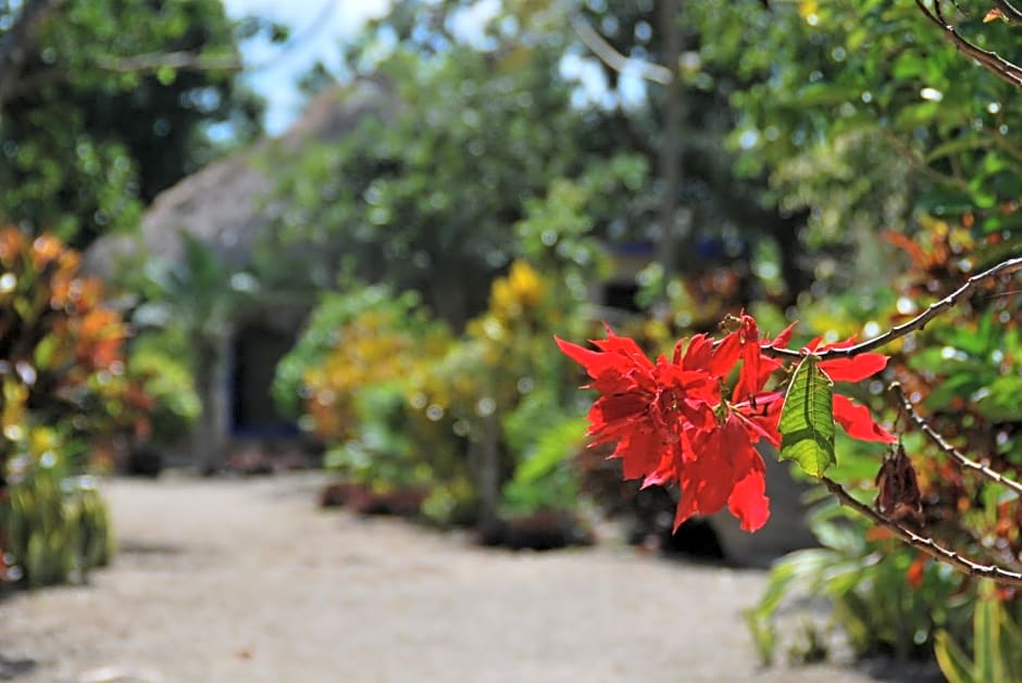 Villas Ecotucan