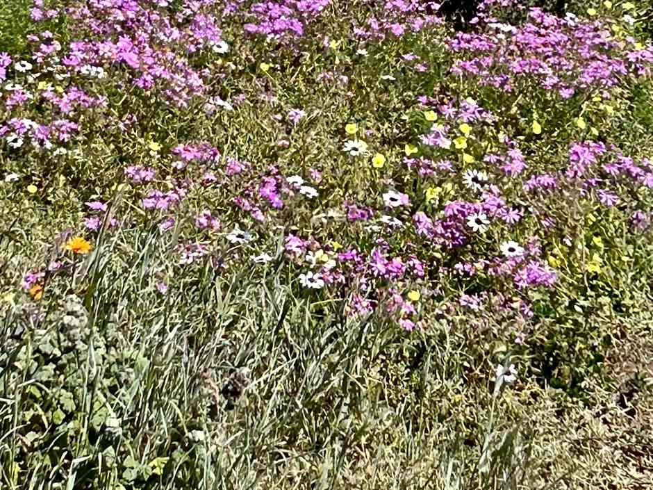 Alabaster Luxe Villa