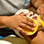 Crown Paradise Golden All Inclusive Adults Only