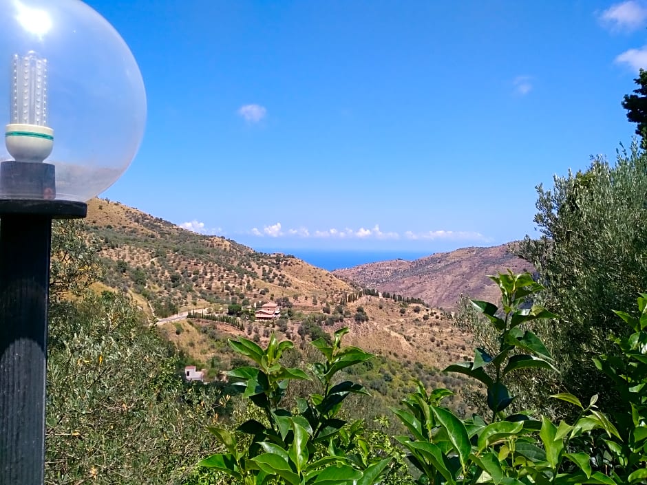 Agriturismo L'Uliveto