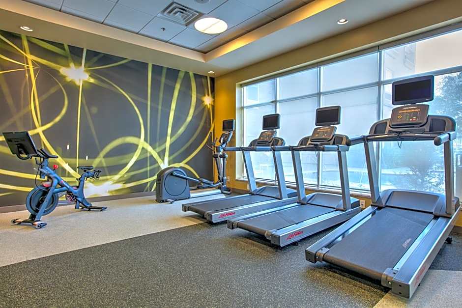 Hilton Garden Inn Dallas/Arlington