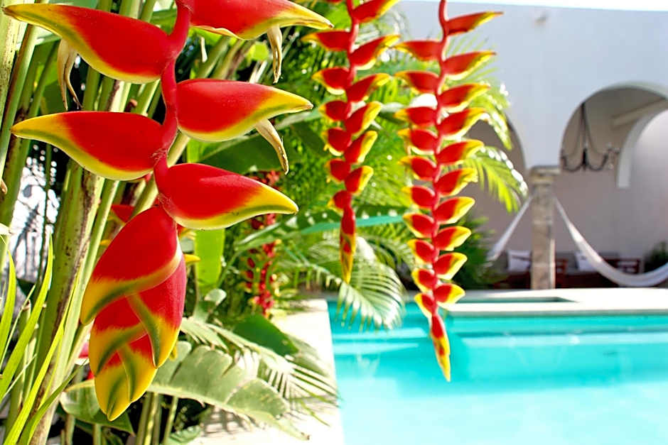 The Diplomat Boutique Hotel