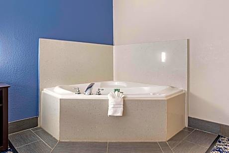1 King Bed, Non-Smoking, Jacuzzi, Sofabed, Microwave And Refrigerator, High Speed Internet Access, F