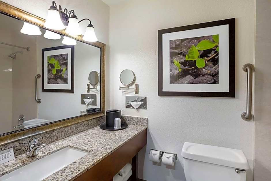 Comfort Inn Castro Valley