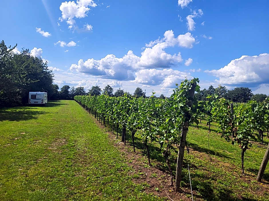 Camping Wijndomein Erve Wisselink