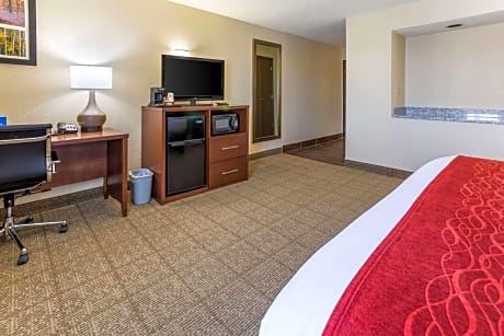 1 King Bed, Suite, Nonsmoking