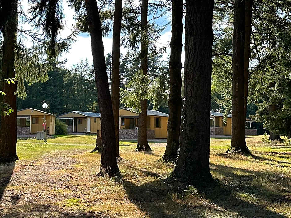 Du côté de chez Sam