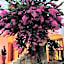 Derin Apart Hotel Bodrum
