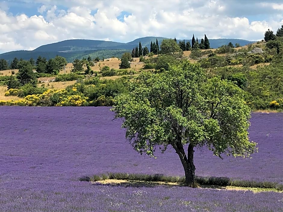 Oustau du Ventoux