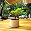 Sisao Hotel-Cafe