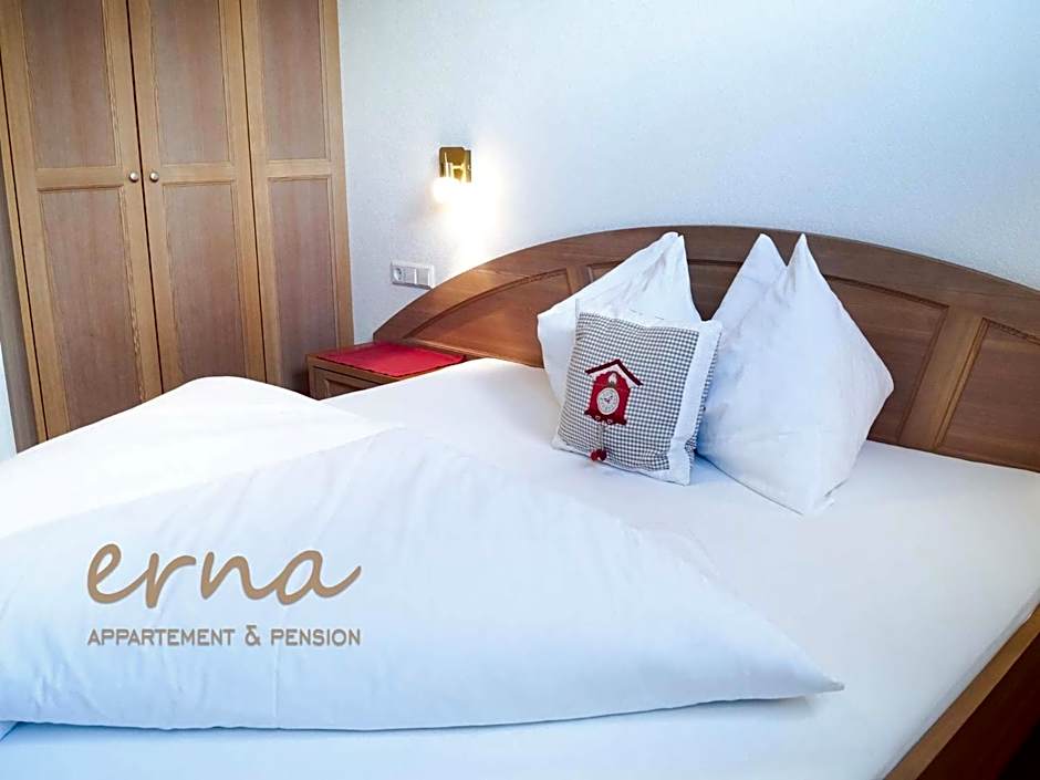 Pension Apartment Erna