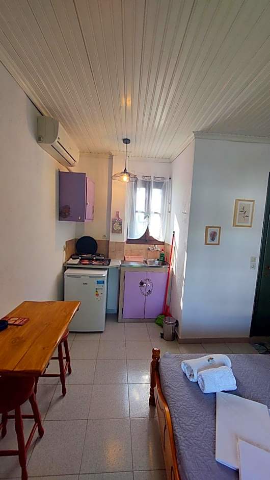 SunRiseStudiosPapanero