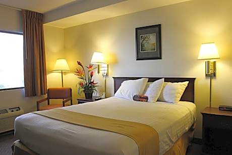 Queen Room