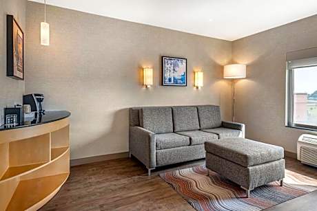 One-Bedroom King Suite with Sofa Bed - Non-Smoking
