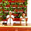 Jas Green Villas And Spa