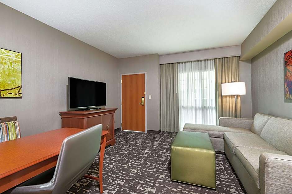 Photo 1 of 4 of 1 Bedroom 1 King Bed Suite, Hearing Accessible