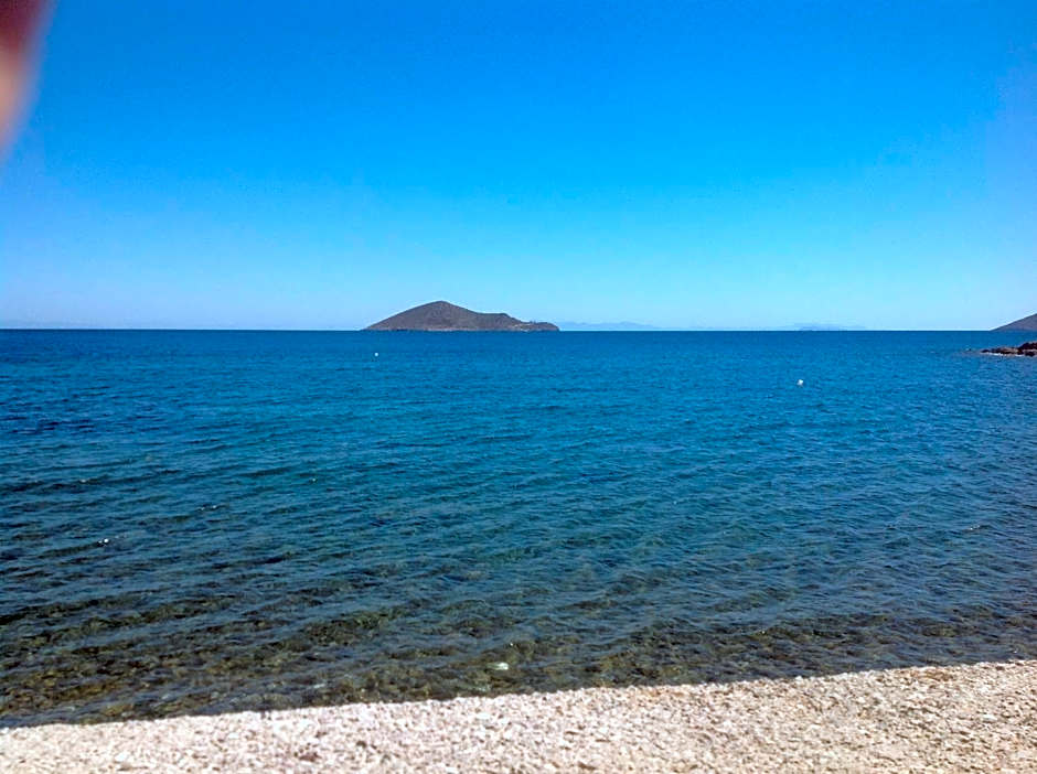 Tony's Beach