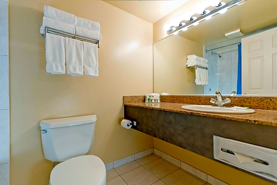 Rosedale on Robson Suite Hotel