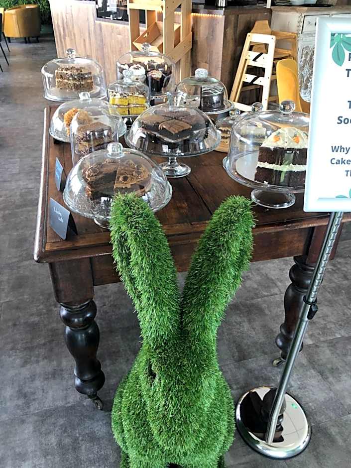 Rooms at The March Hare