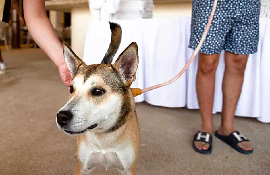Mishol Bodas Hotel & Beach Club Acapulco Diamante