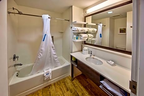 1 King Bed Nonsmoking