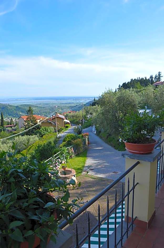 B&B Il Trebbio
