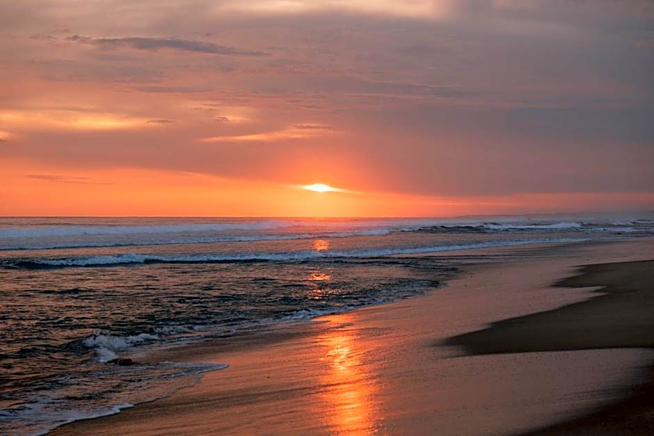 ONTO House Puerto Escondido