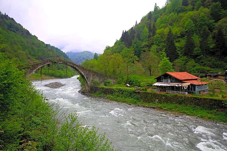 Teona Bungalow & Restaurant