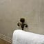 Hotel O Palmo