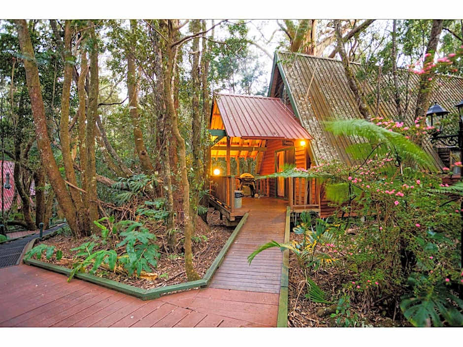 The Mouses House Rainforest Retreat