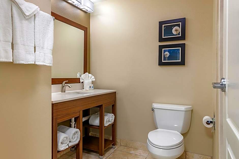 Comfort Inn & Suites Tifton