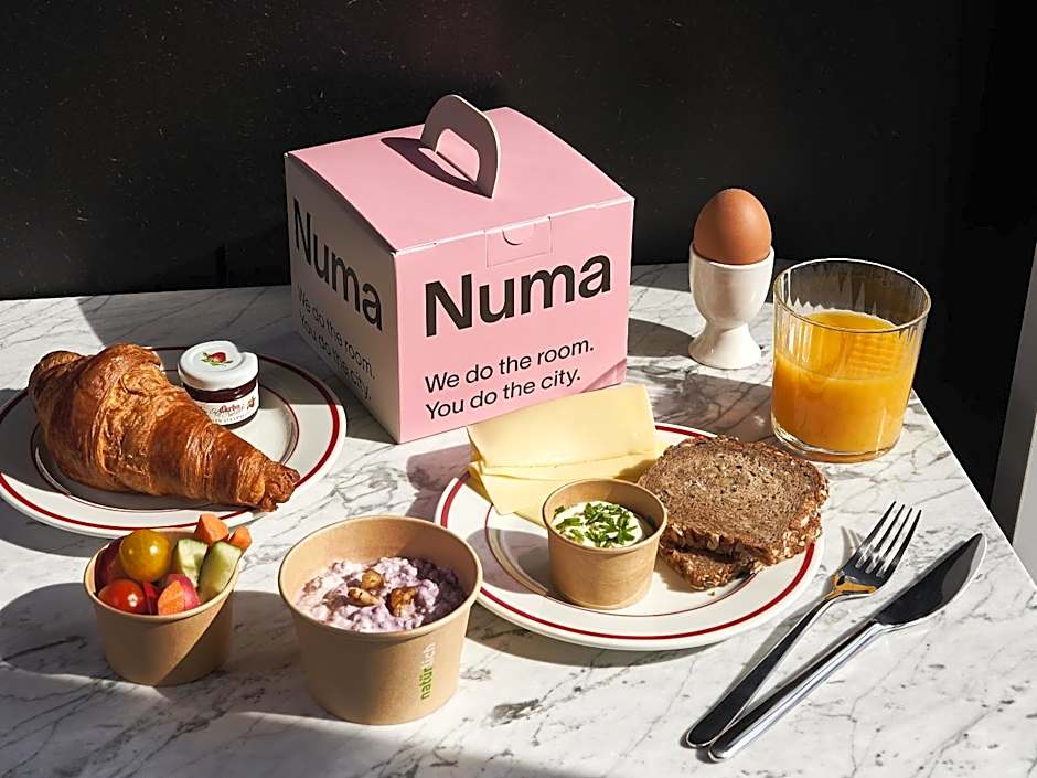 Numa Berlin Boxer