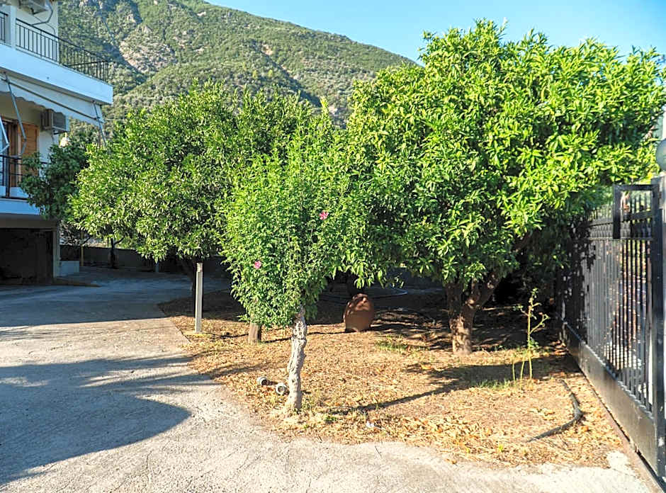 Davis Studios & Apartments