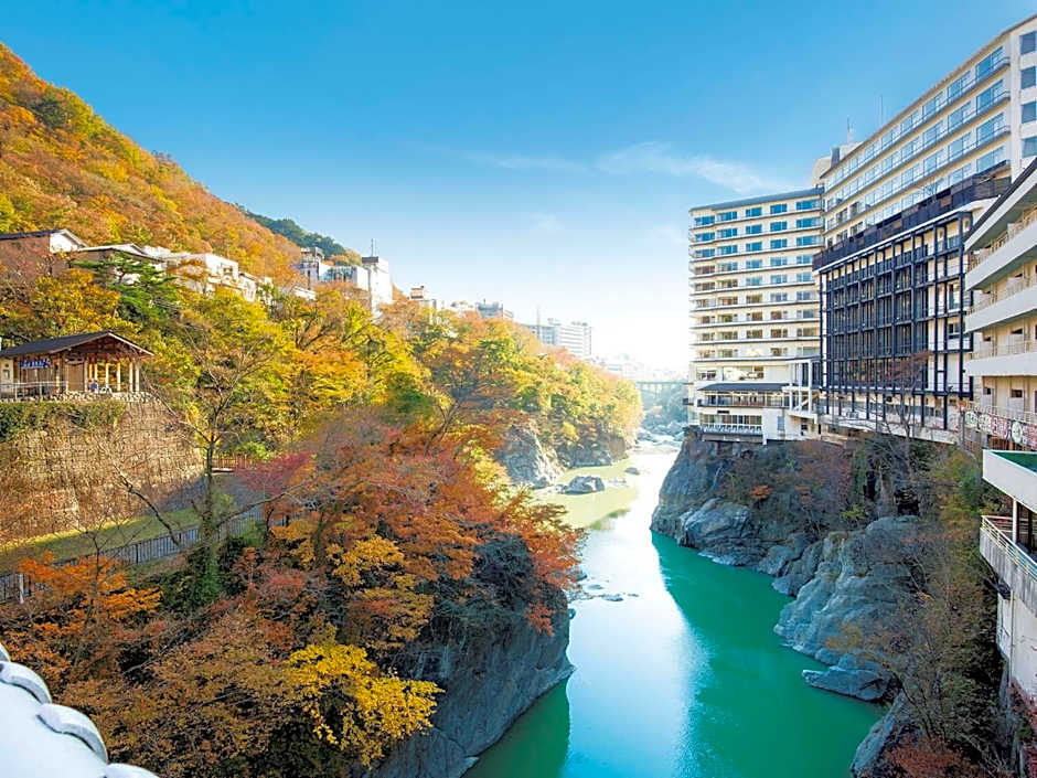 Kinugawa Plaza Hotel