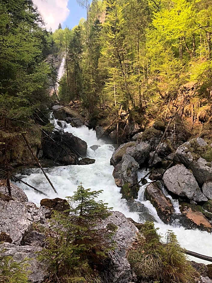 Fenix Hall Boutique Hotel Hallstatt