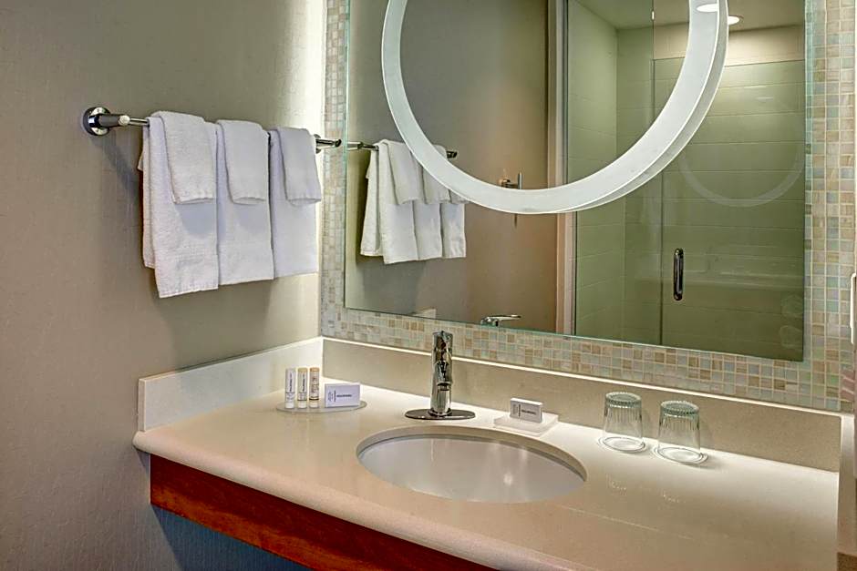 SpringHill Suites by Marriott Saginaw