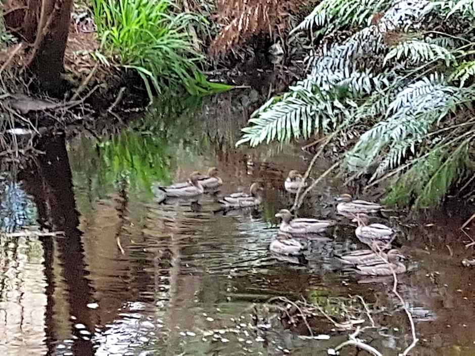 Strahan Retreat Holiday Park