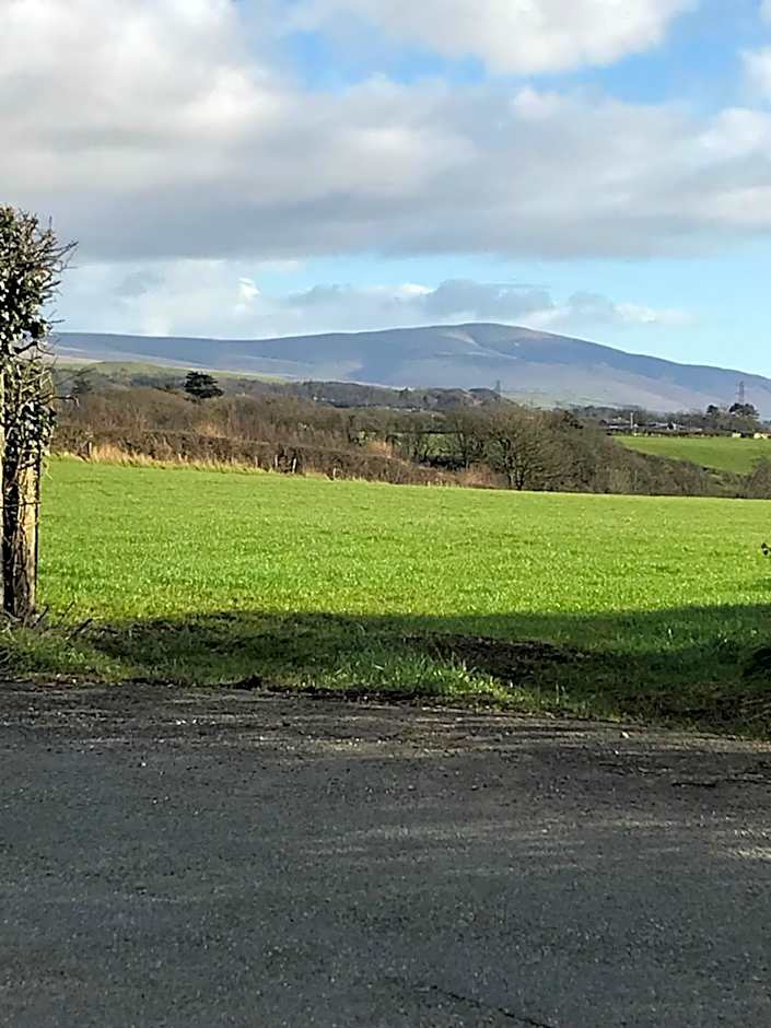 Dale View bed & breakfast