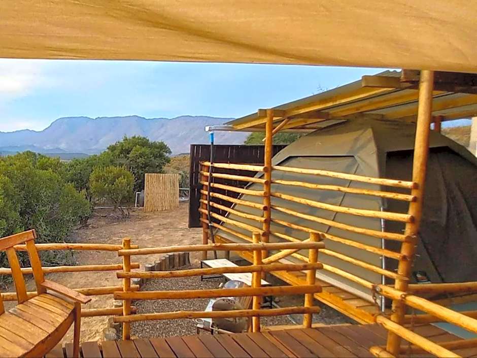 Protea Lodge - Glamping in the Karoo