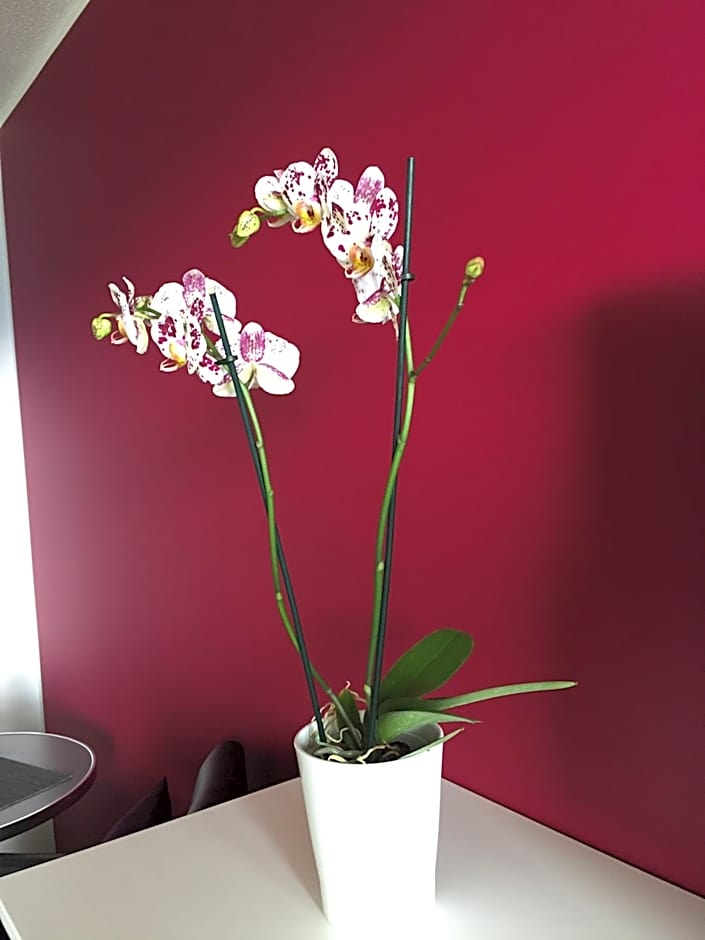 Apartments Seeblick mit Anbindung an ein 4-Sterne-Hotel