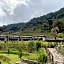 Mountain Lodges of Nepal, Tomijong