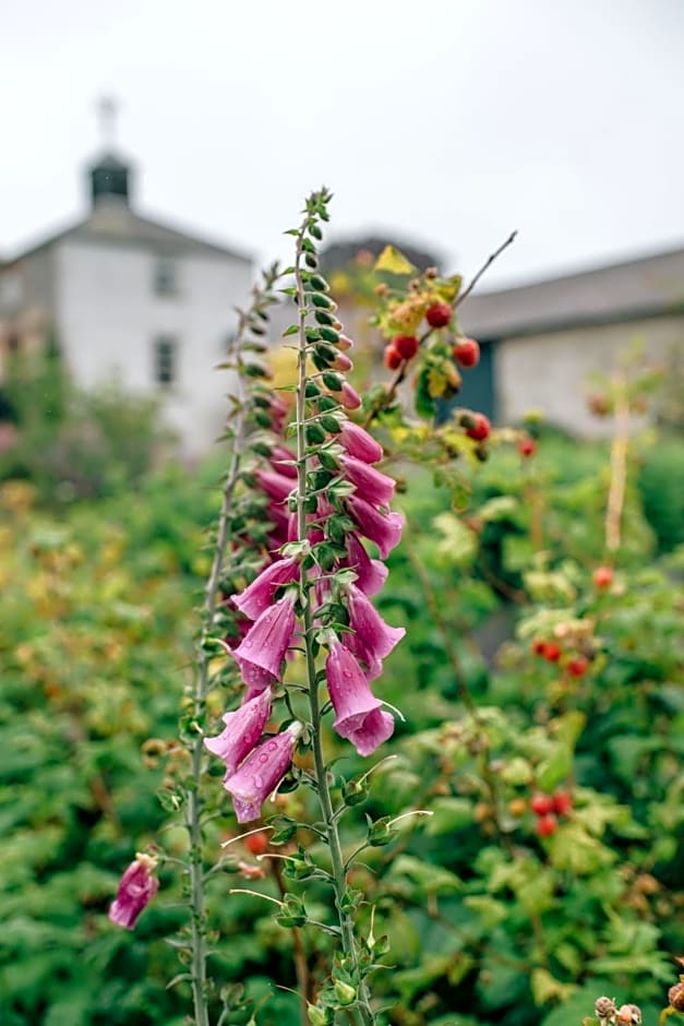 Ballydugan Country House