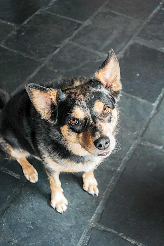 Crackenback Farm Guesthouse