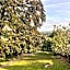 Eagle House - Award Winning B&B and Apartment