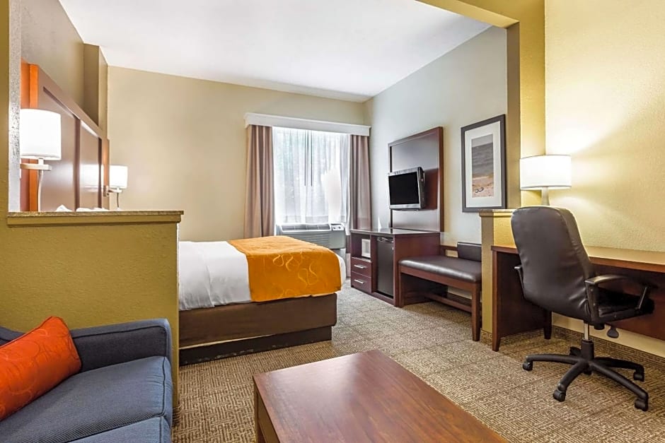 Comfort Suites At the University